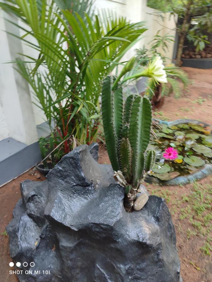 Vyshnavi Home Stay Thanniyam Bagian luar foto